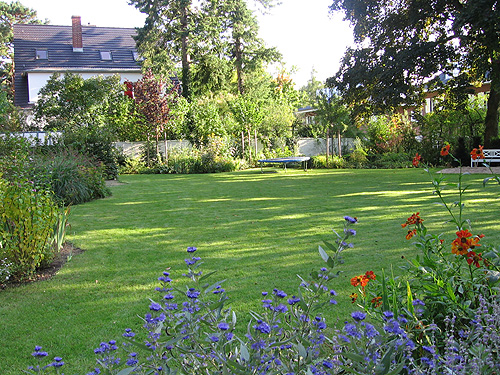 Spielrasen nach einem jahr