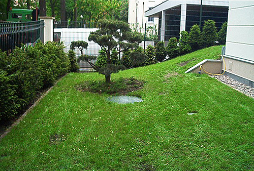 Bschung mit Rasen im Vorgarten